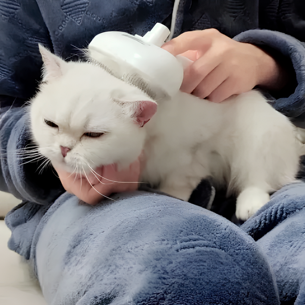 Pet Steam Brush