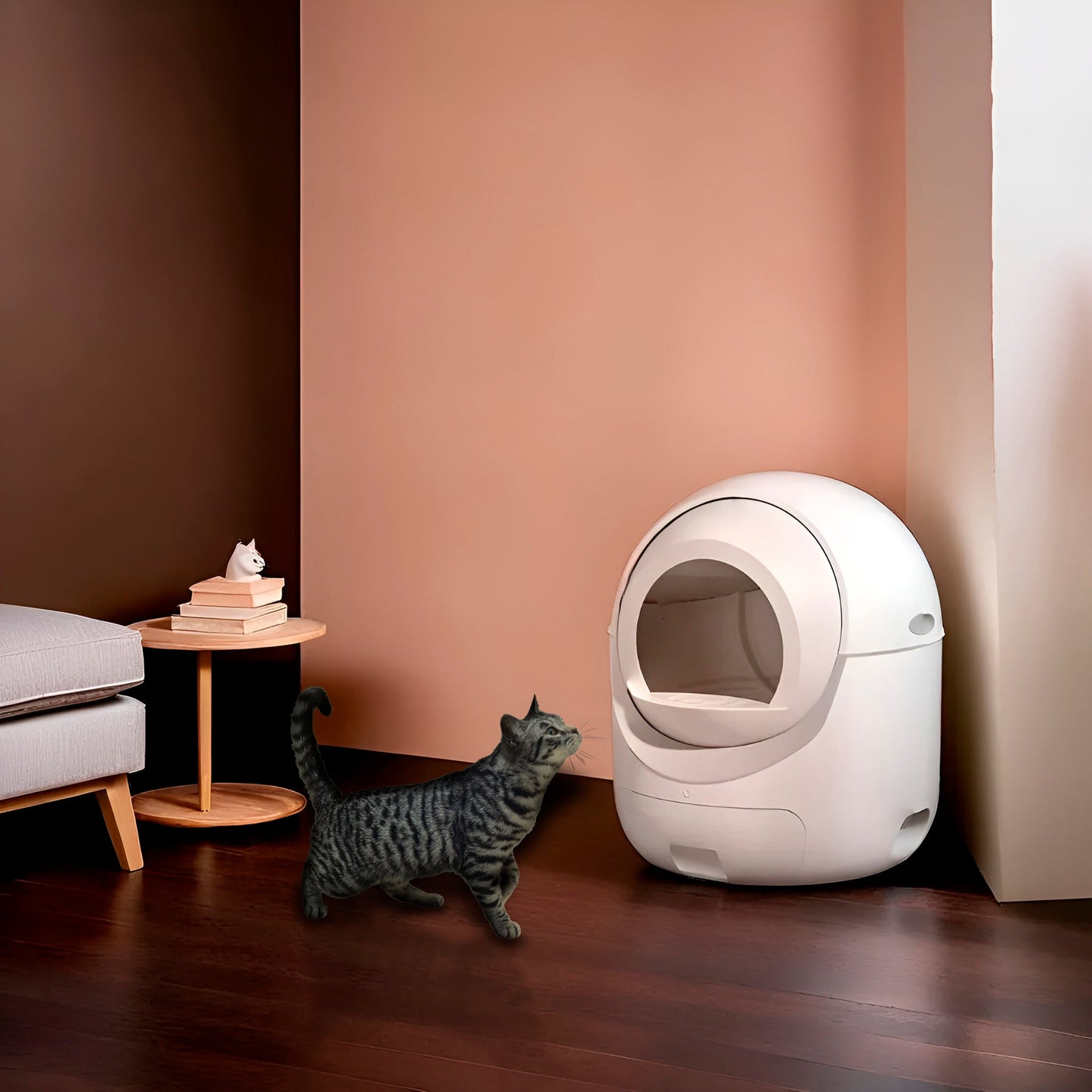 Cat Litter Box