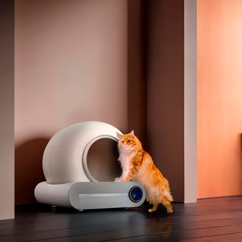 Cat Litter Box