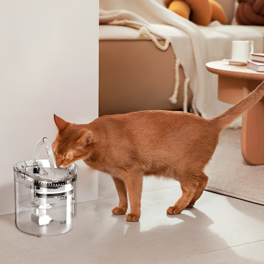 Pet Water Fountain