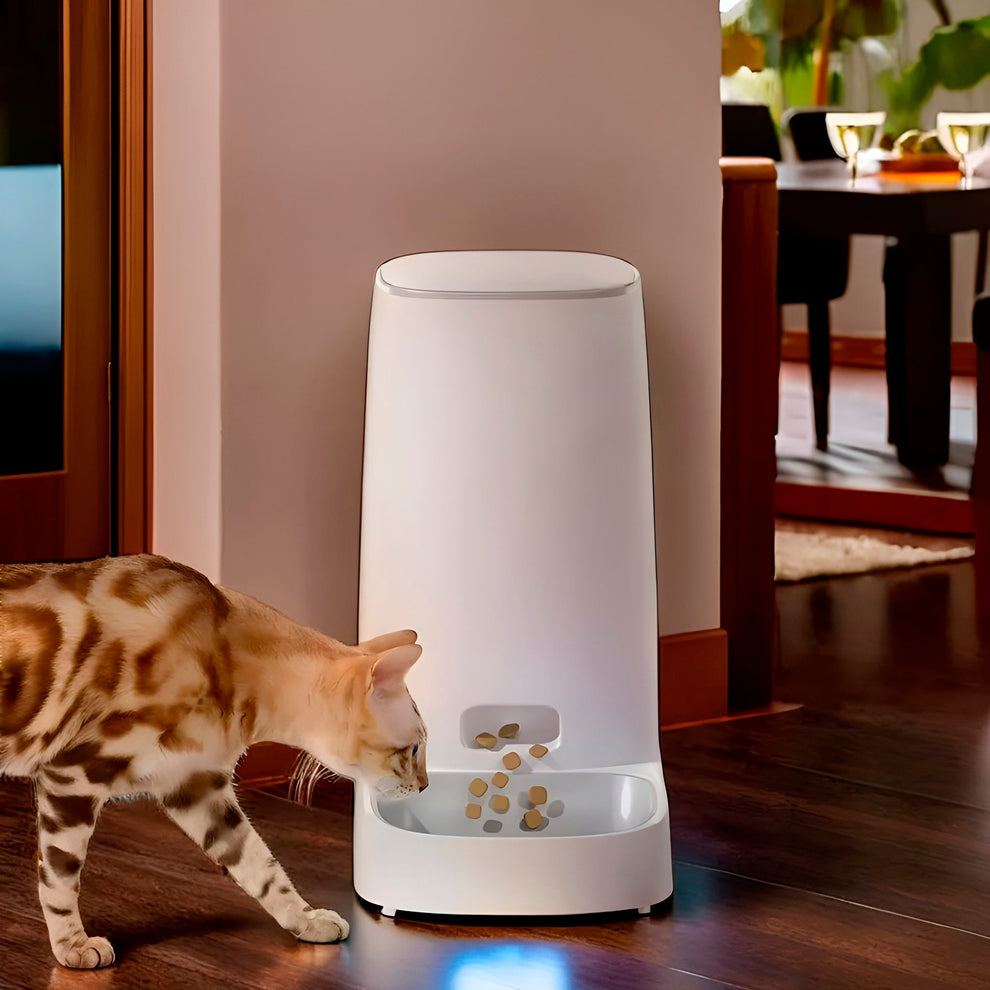 Pet Feeder Single